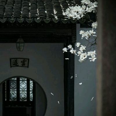 在台北故宫“看见”《红楼梦》